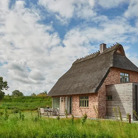 Reetdorf Geltinger Birk Kuenstlerkate Wildpferd Semesterbostad